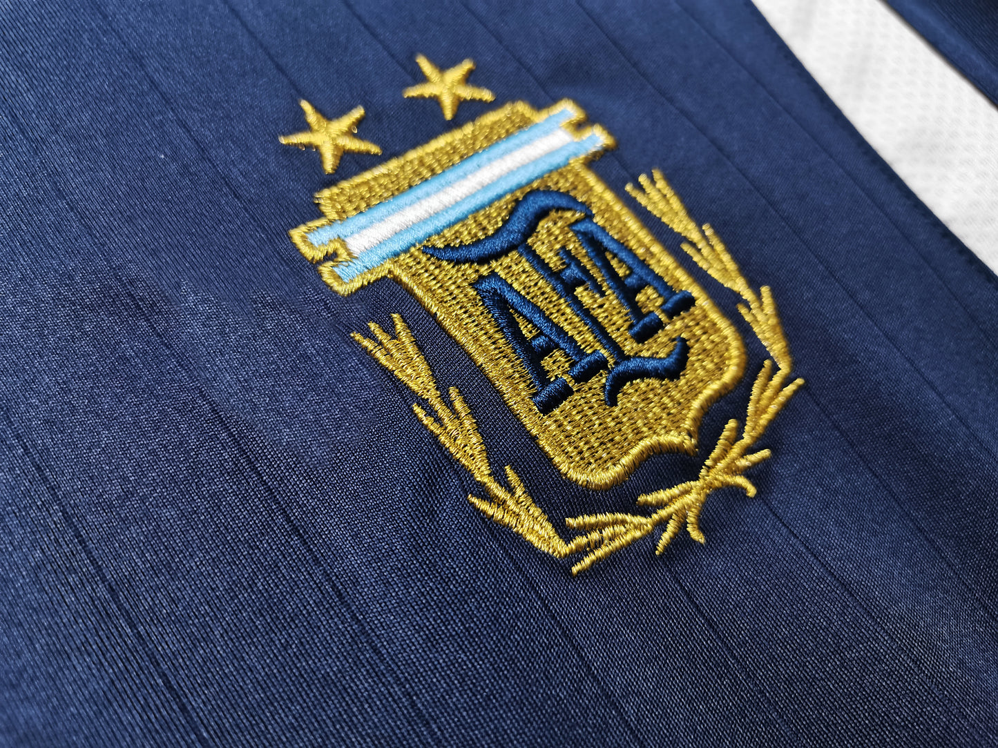 argentina 2006 alternativa