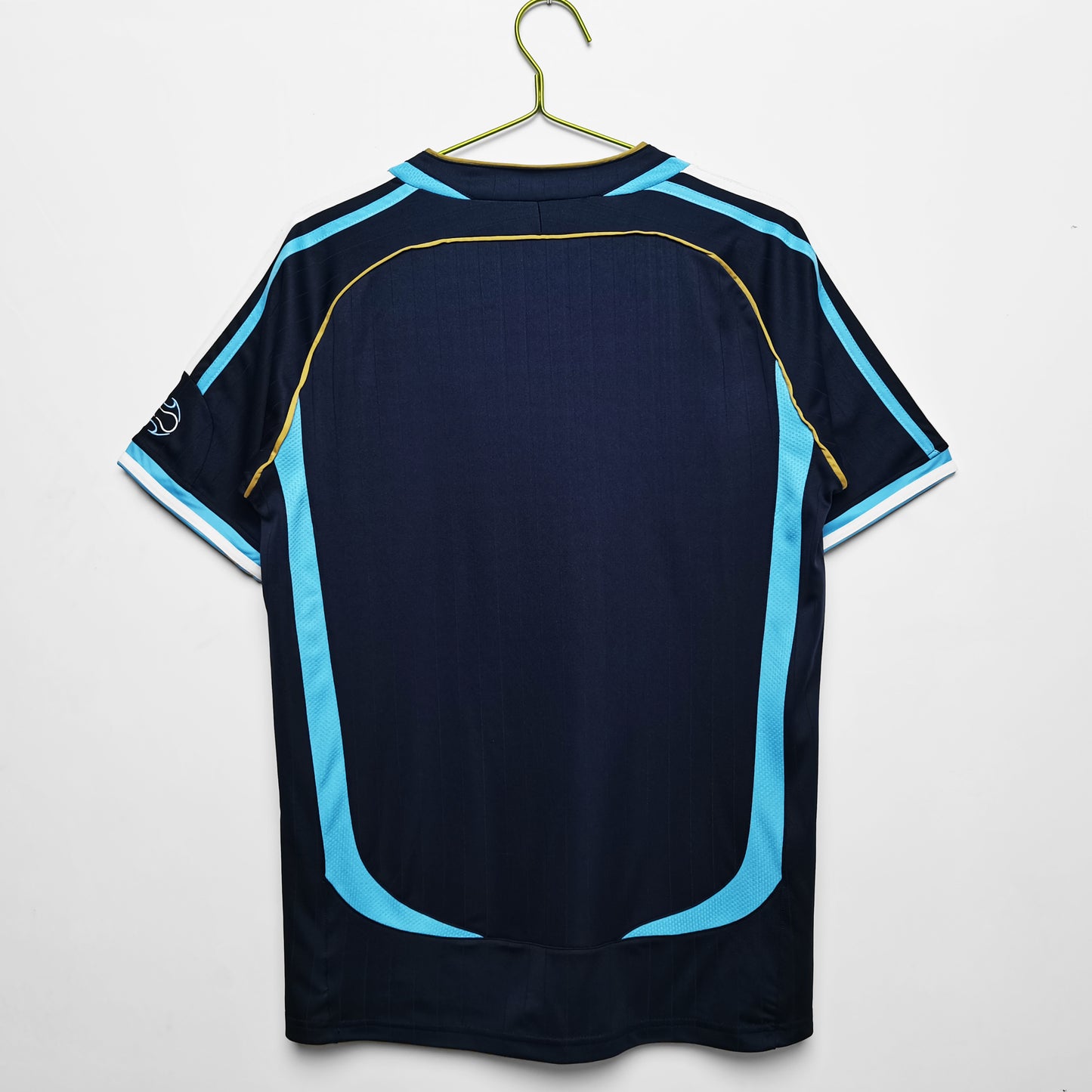 argentina 2006 alternativa
