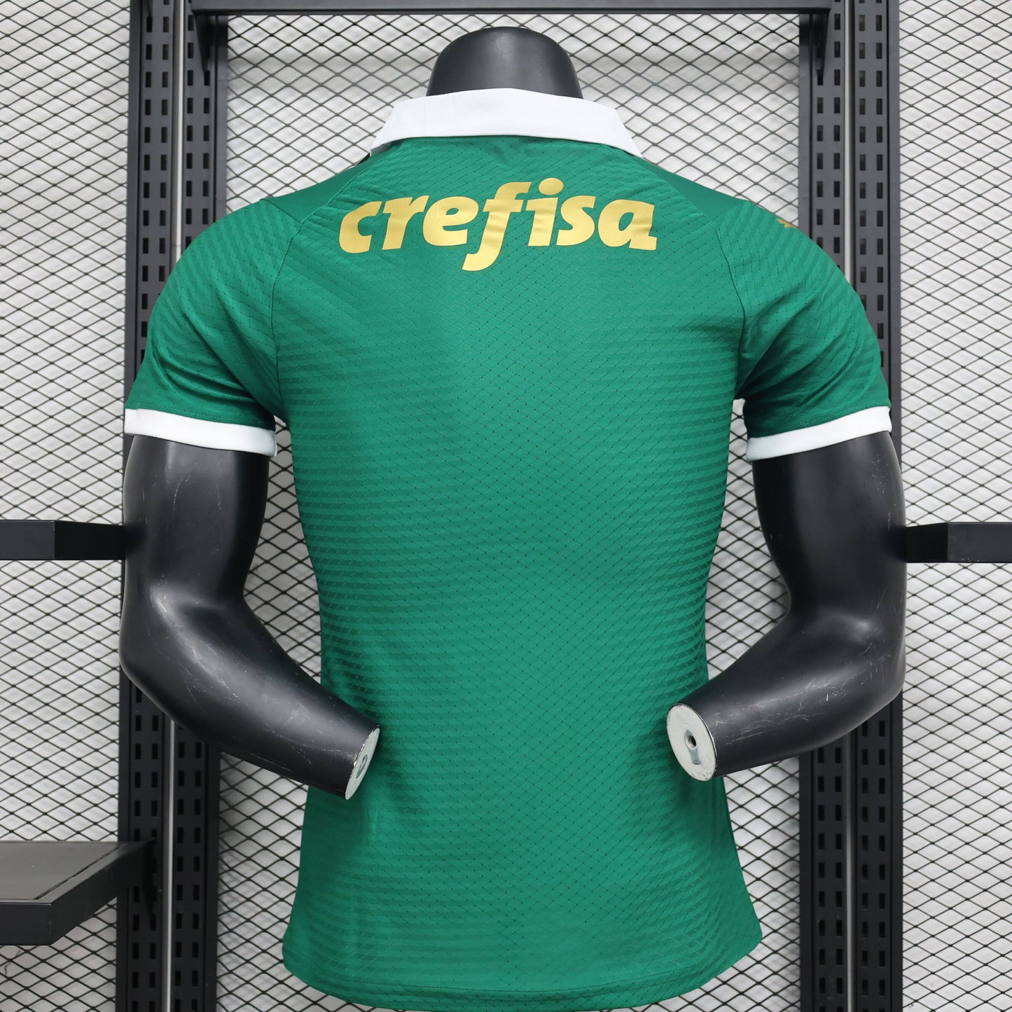 Palmeiras version jugador 24/25