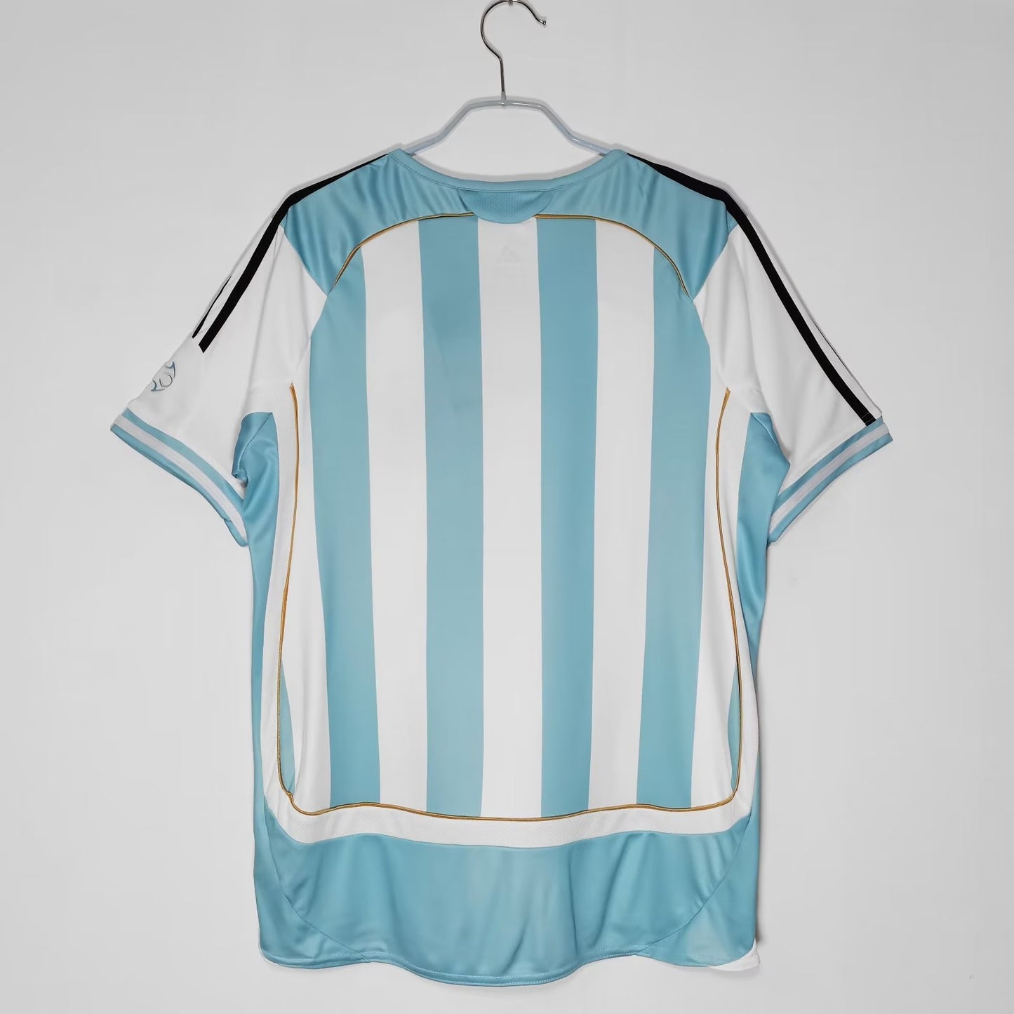 argentina 2006 titular