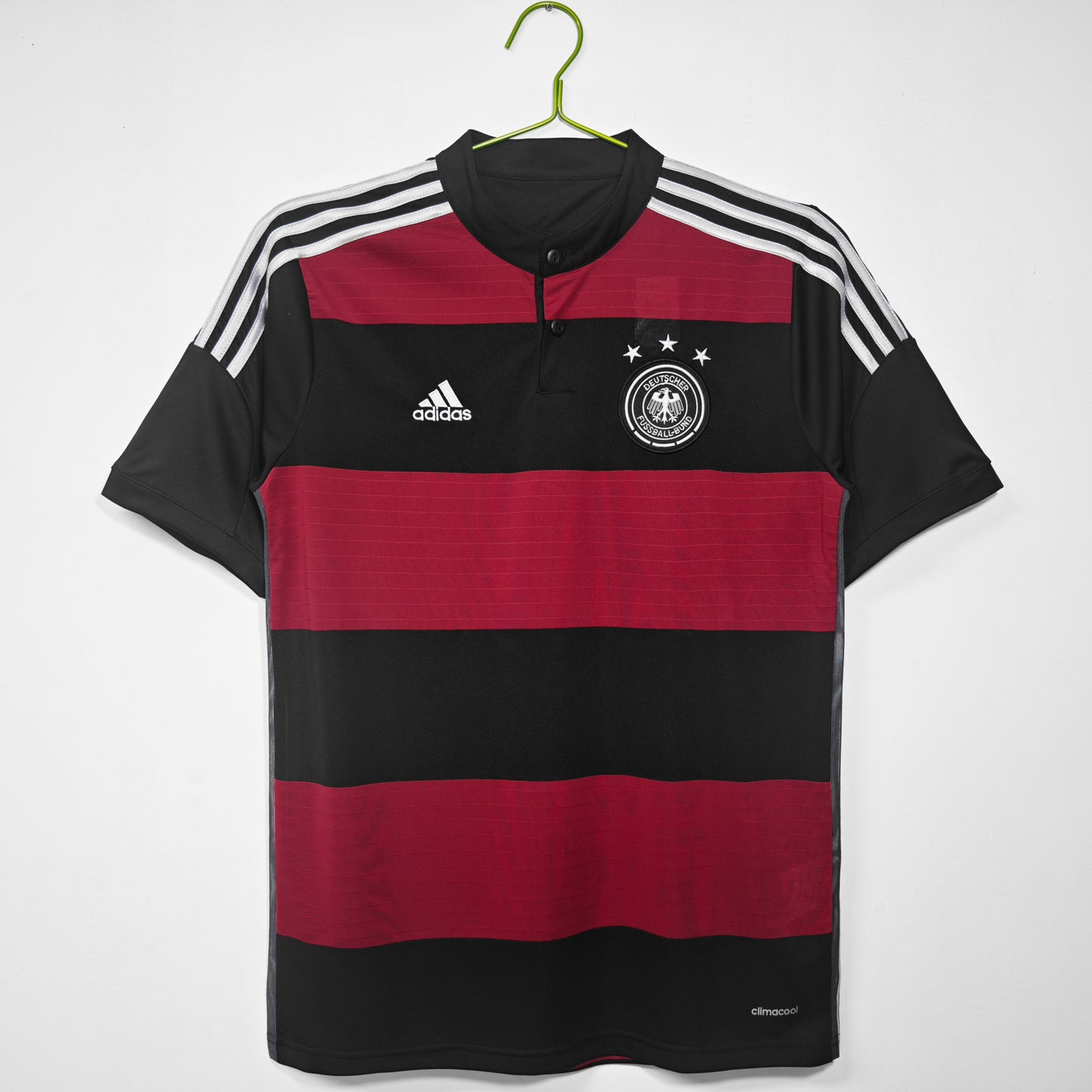 Alemania 2024 alternativa