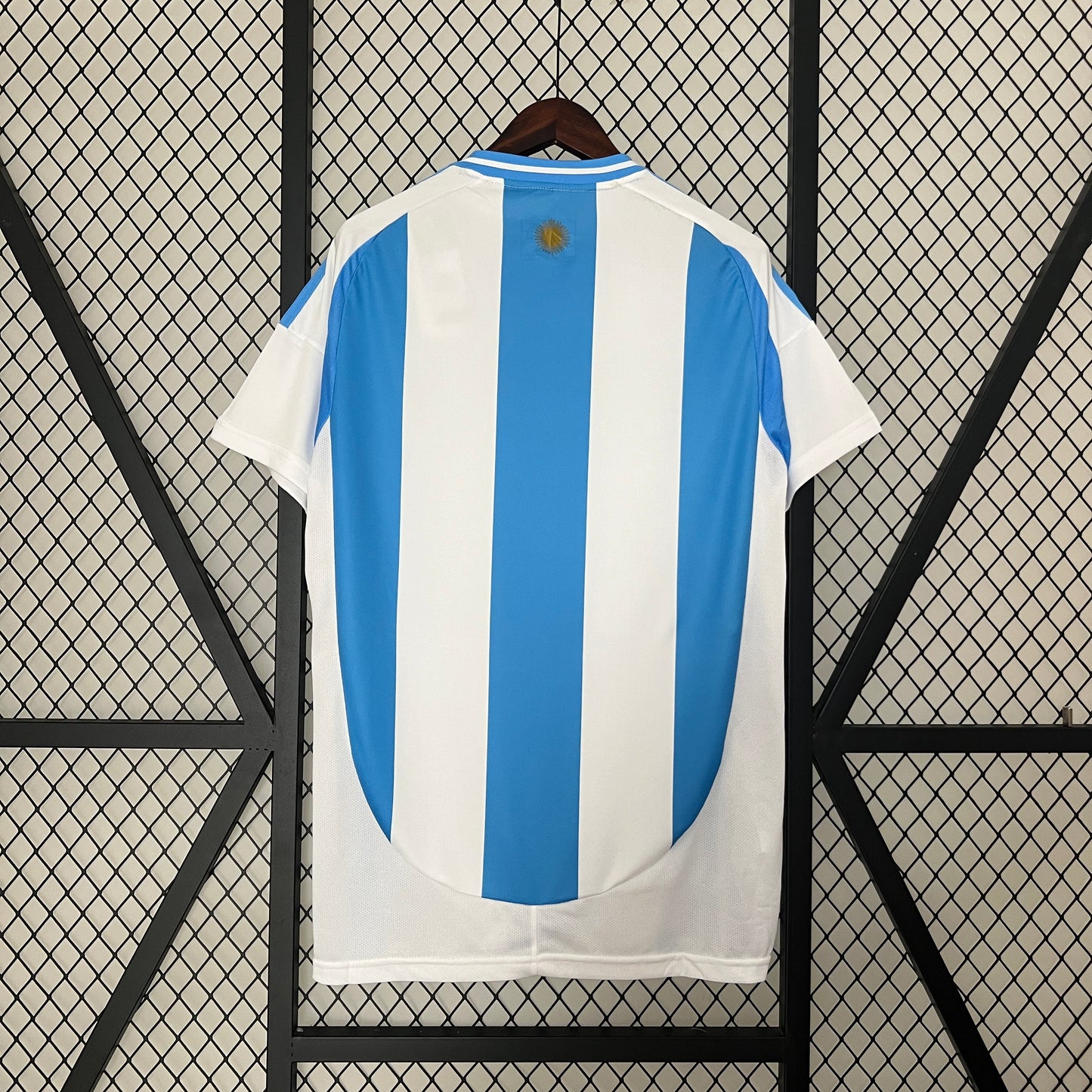 argentina 2024 titular