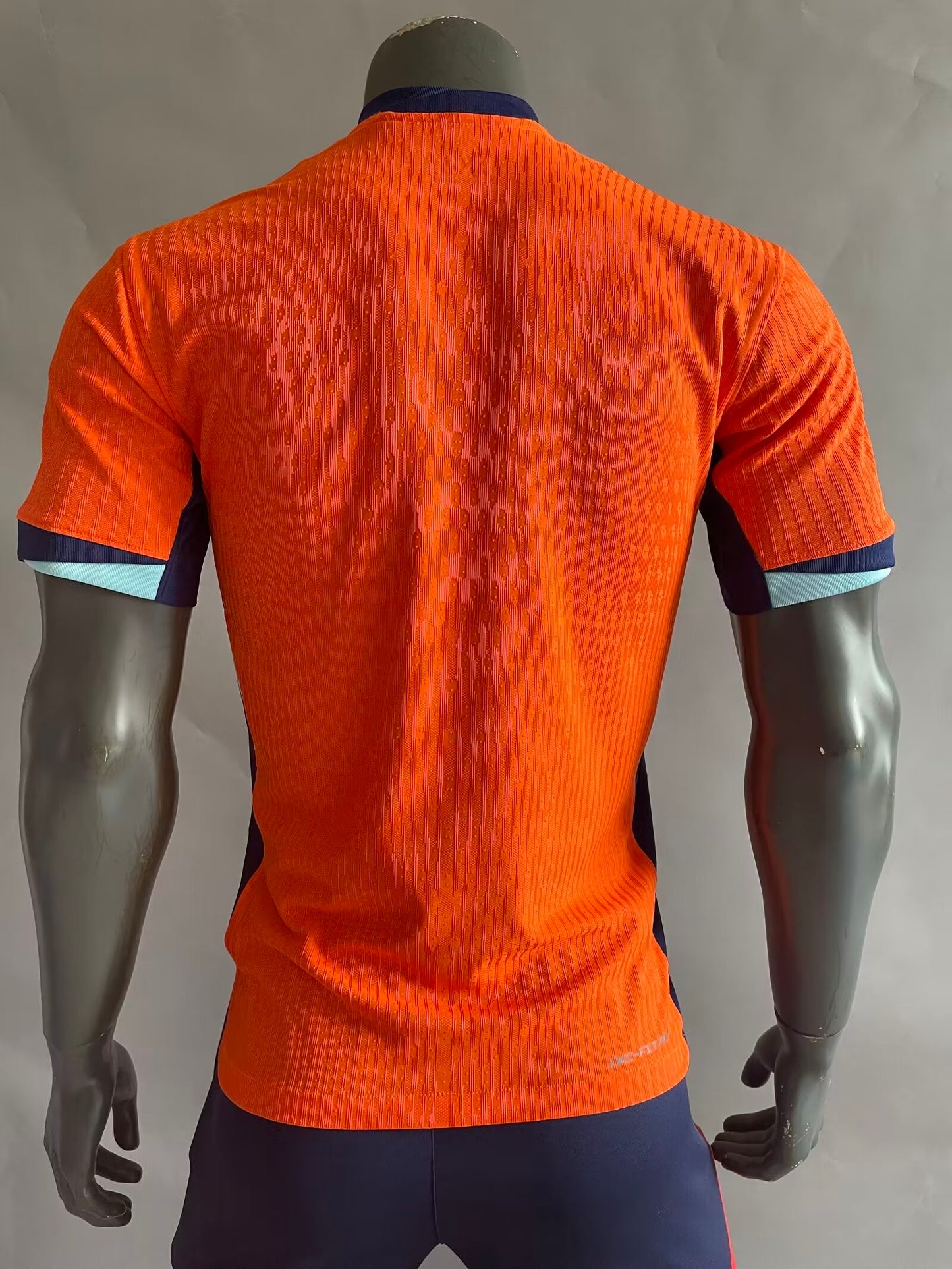 Paises bajos version jugador 2024