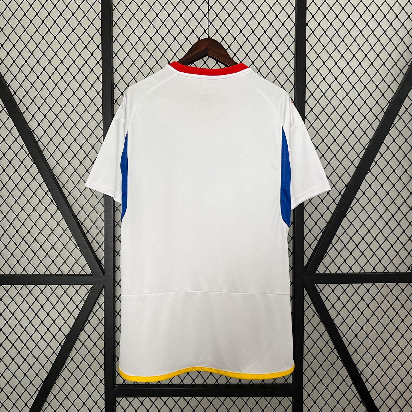 Venezuela 2024 alternativa