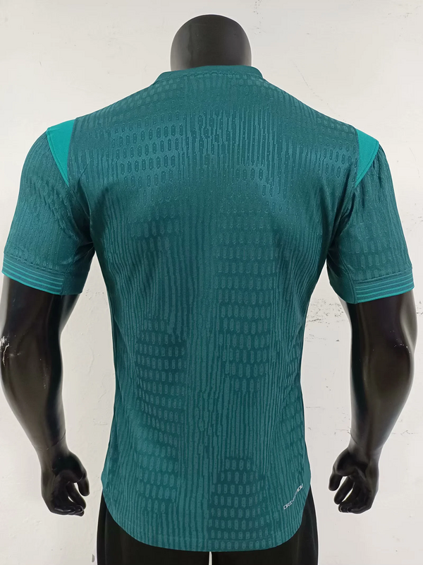 Nigeria version jugador 2025