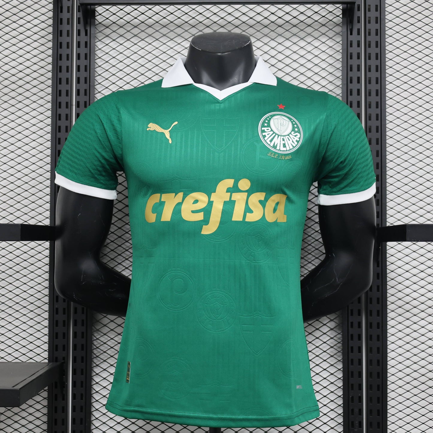 Palmeiras version jugador 24/25