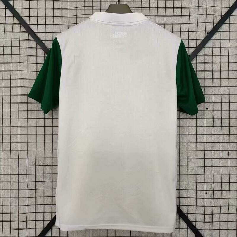 Palmeiras 25/26 alternativa
